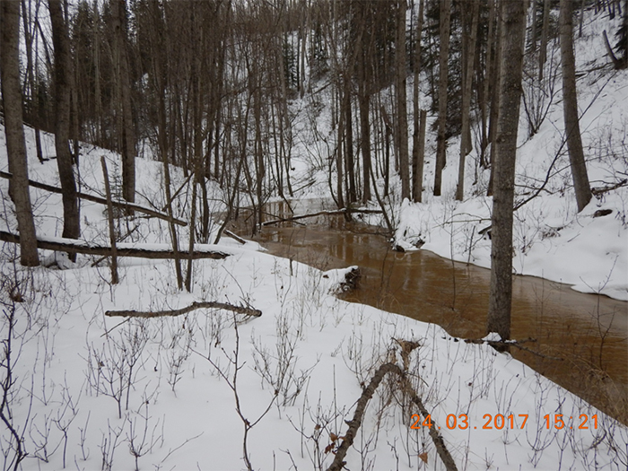 Figure 2: Turbid water in Unnamed Creek 3