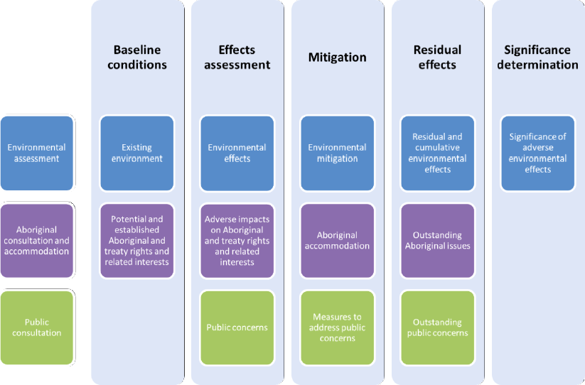 Figure 1. Integration of environmental assessment, Aboriginal and public consultation information into the Environmental Impact Statement
