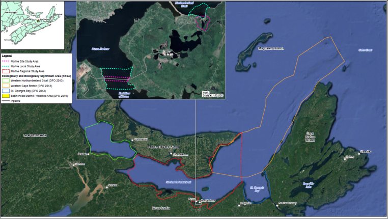 The SSA encompasses the saltwater portions of the SSA defined for most valued components, as well as the Northumberland Strait shoreline immediately outside the mouth of the estuary. The LSA encompasses the Northumberland Strait waters within 500 metres of the Pictou Road Shoreline and waters within 500 metres of the underwater pipeline in the East River. The RSA is the portion of the Northumberland Strait from the east side of the Confederation Bridge to the eastern coast of the Prince Edward Island.