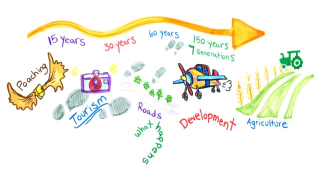 The hand drawn image is a graphic recording captured during RAWG meetings. It shows and arrow with the text 15 years, 30 years, 60 years, and 150 years (7 generations) underneath. Some of the activities RAWG considered showing in development scenarios are represented underneath. These are poaching, tourism, roads, forestry, an airport, and agriculture. The words 'what happens' are underneath int he shape of a question mark.